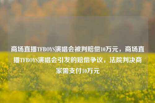 商场直播TFBOYS演唱会被判赔偿10万元，商场直播TFBOYS演唱会引发的赔偿争议，法院判决商家需支付10万元
