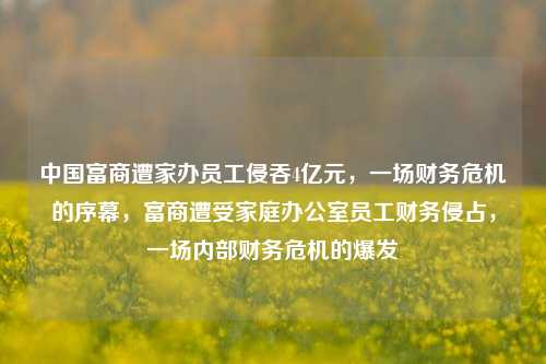中国富商遭家办员工侵吞4亿元，一场财务危机的序幕，富商遭受家庭办公室员工财务侵占，一场内部财务危机的爆发