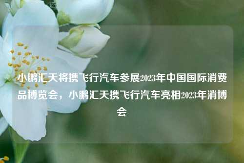小鹏汇天将携飞行汽车参展2023年中国国际消费品博览会，小鹏汇天携飞行汽车亮相2023年消博会