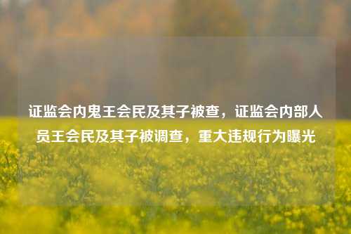 证监会内鬼王会民及其子被查，证监会内部人员王会民及其子被调查，重大违规行为曝光