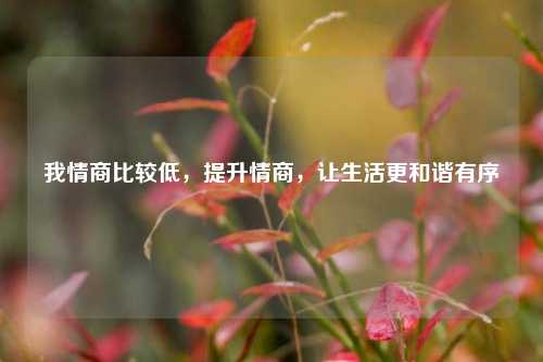 我情商比较低，提升情商，让生活更和谐有序