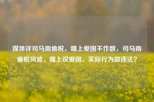 媒体评司马南偷税，嘴上爱国不作数，司马南偷税风波，嘴上说爱国，实际行为却违法？