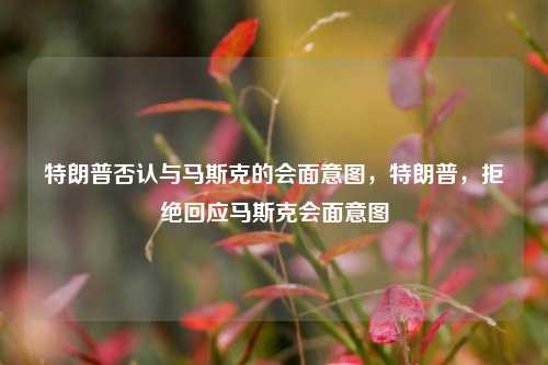 特朗普否认与马斯克的会面意图，特朗普，拒绝回应马斯克会面意图
