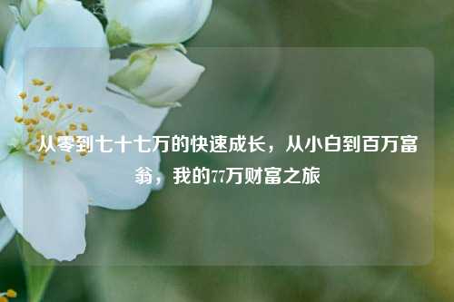 从零到七十七万的快速成长，从小白到百万富翁，我的77万财富之旅