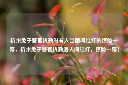 杭州兔子警官执勤时有人当面闯红灯的惊险一幕，杭州兔子警官执勤遇人闯红灯，惊险一幕！