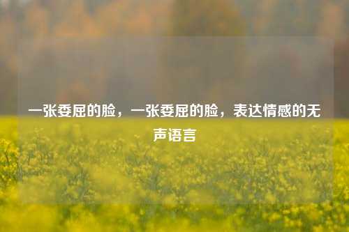 一张委屈的脸，一张委屈的脸，表达情感的无声语言