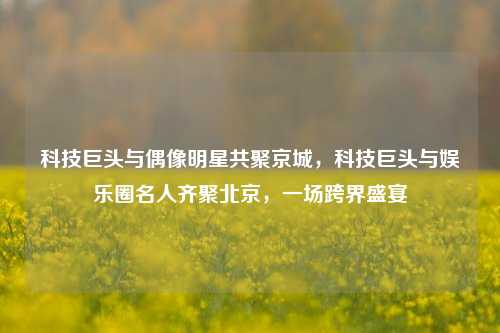 科技巨头与偶像明星共聚京城，科技巨头与娱乐圈名人齐聚北京，一场跨界盛宴