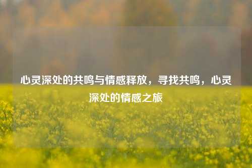 心灵深处的共鸣与情感释放，寻找共鸣，心灵深处的情感之旅