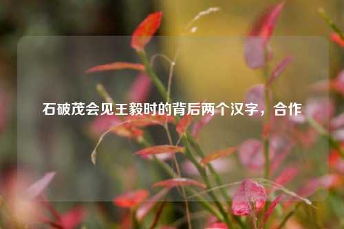 石破茂会见王毅时的背后两个汉字，合作