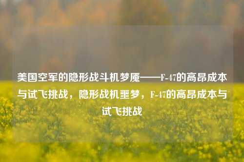 美国空军的隐形战斗机梦魇——F-47的高昂成本与试飞挑战，隐形战机噩梦，F-47的高昂成本与试飞挑战