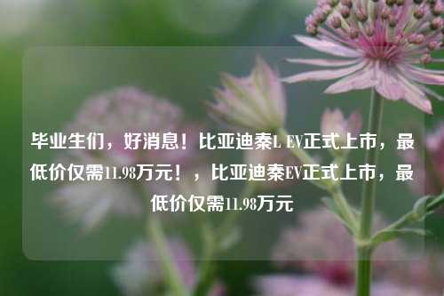 毕业生们，好消息！比亚迪秦L EV正式上市，最低价仅需11.98万元！，比亚迪秦EV正式上市，最低价仅需11.98万元