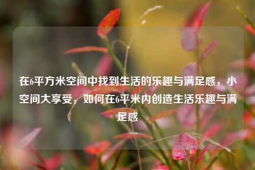 在6平方米空间中找到生活的乐趣与满足感，小空间大享受，如何在6平米内创造生活乐趣与满足感