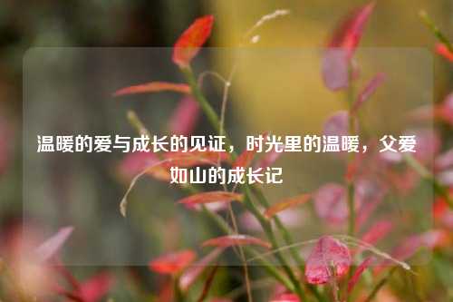 温暖的爱与成长的见证，时光里的温暖，父爱如山的成长记