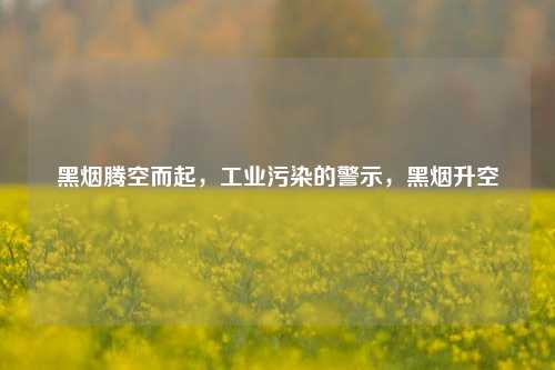 黑烟腾空而起，工业污染的警示，黑烟升空