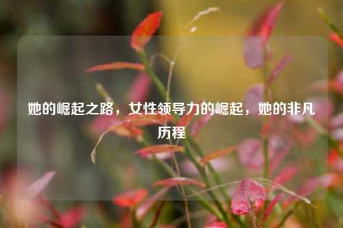 她的崛起之路，女性领导力的崛起，她的非凡历程