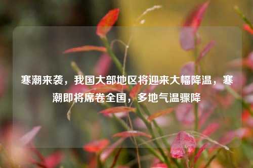 寒潮来袭，我国大部地区将迎来大幅降温，寒潮即将席卷全国，多地气温骤降