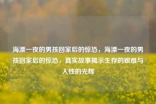 海漂一夜的男孩回家后的惊恐，海漂一夜的男孩回家后的惊恐，真实故事揭示生存的艰难与人性的光辉