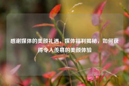 感谢媒体的美颜礼遇，媒体福利揭秘，如何获得令人羡慕的美颜体验