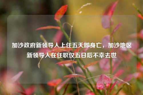 加沙政府新领导人上任五天即身亡，加沙地区新领导人在任职仅五日后不幸去世