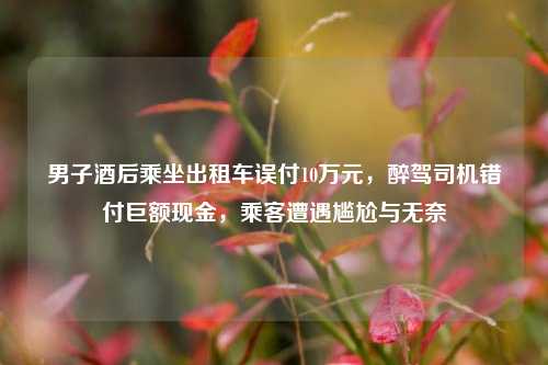 男子酒后乘坐出租车误付10万元，醉驾司机错付巨额现金，乘客遭遇尴尬与无奈