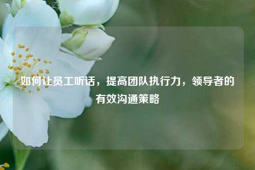 如何让员工听话，提高团队执行力，领导者的有效沟通策略