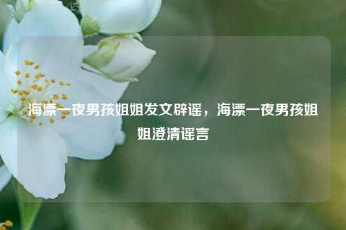 海漂一夜男孩姐姐发文辟谣，海漂一夜男孩姐姐澄清谣言