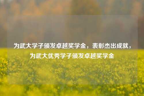 为武大学子颁发卓越奖学金，表彰杰出成就，为武大优秀学子颁发卓越奖学金