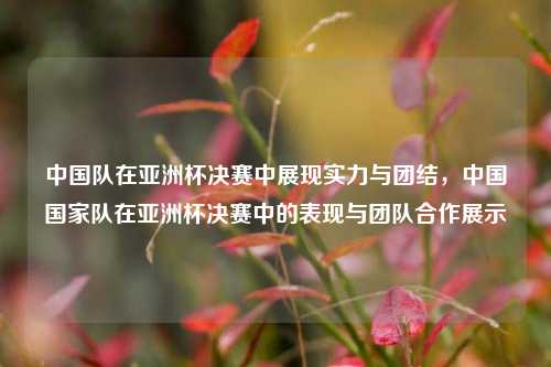 中国队在亚洲杯决赛中展现实力与团结，中国国家队在亚洲杯决赛中的表现与团队合作展示