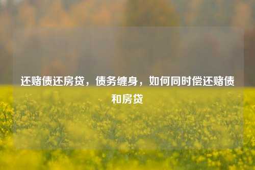 还赌债还房贷，债务缠身，如何同时偿还赌债和房贷