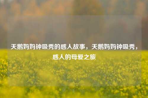 天鹅妈妈钟吸秀的感人故事，天鹅妈妈钟吸秀，感人的母爱之旅