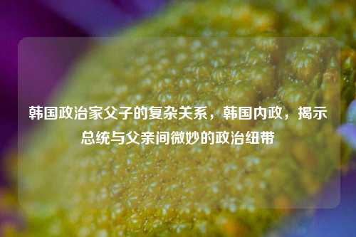 韩国政治家父子的复杂关系，韩国内政，揭示总统与父亲间微妙的政治纽带
