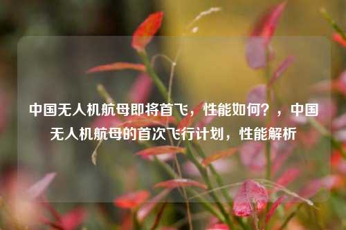 中国无人机航母即将首飞，性能如何？，中国无人机航母的首次飞行计划，性能解析