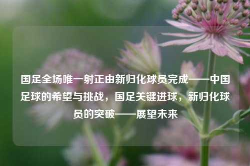 国足全场唯一射正由新归化球员完成——中国足球的希望与挑战，国足关键进球，新归化球员的突破——展望未来