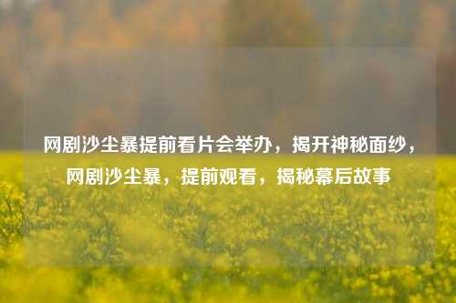 网剧沙尘暴提前看片会举办，揭开神秘面纱，网剧沙尘暴，提前观看，揭秘幕后故事