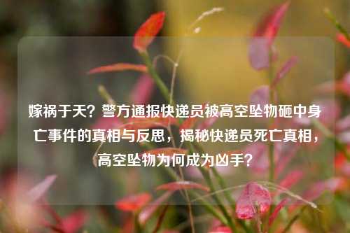 嫁祸于天？警方通报快递员被高空坠物砸中身亡事件的真相与反思，揭秘快递员死亡真相，高空坠物为何成为凶手？
