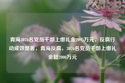 青海3076名党员干部上缴礼金2095万元，反腐行动成效显著，青海反腐，3076名党员干部上缴礼金超2000万元