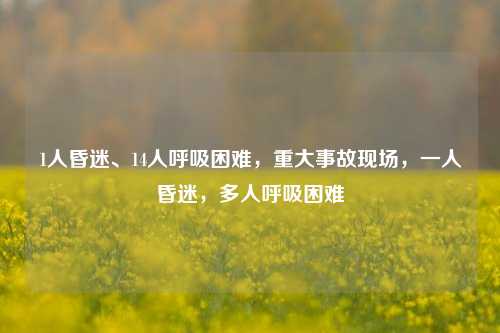 1人昏迷、14人呼吸困难，重大事故现场，一人昏迷，多人呼吸困难