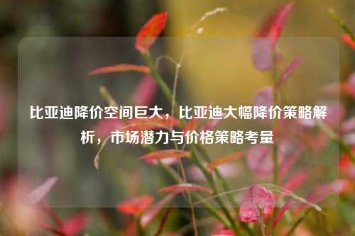 比亚迪降价空间巨大，比亚迪大幅降价策略解析，市场潜力与价格策略考量