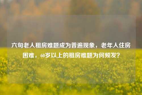 六旬老人租房难题成为普遍现象，老年人住房困难，60岁以上的租房难题为何频发？