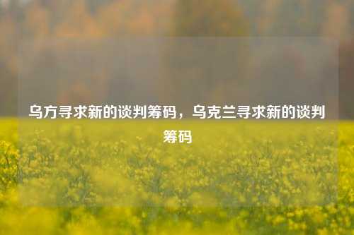 乌方寻求新的谈判筹码，乌克兰寻求新的谈判筹码