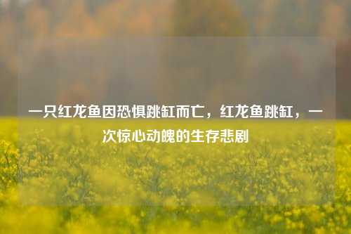 一只红龙鱼因恐惧跳缸而亡，红龙鱼跳缸，一次惊心动魄的生存悲剧