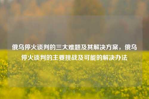 俄乌停火谈判的三大难题及其解决方案，俄乌停火谈判的主要挑战及可能的解决办法