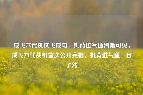 成飞六代机试飞成功，机背进气道清晰可见，成飞六代战机首次公开亮相，机背进气道一目了然