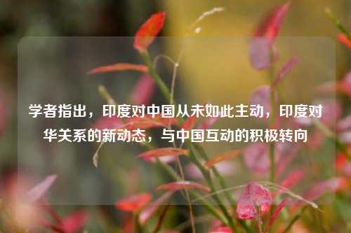 学者指出，印度对中国从未如此主动，印度对华关系的新动态，与中国互动的积极转向