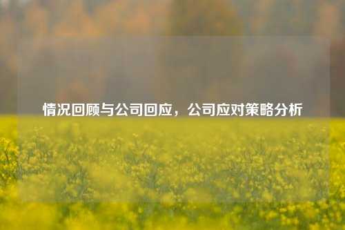 情况回顾与公司回应，公司应对策略分析