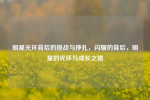 明星光环背后的挑战与挣扎，闪耀的背后，明星的光环与成长之路