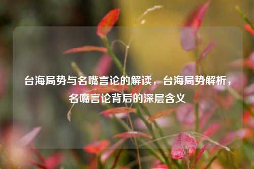 台海局势与名嘴言论的解读，台海局势解析，名嘴言论背后的深层含义