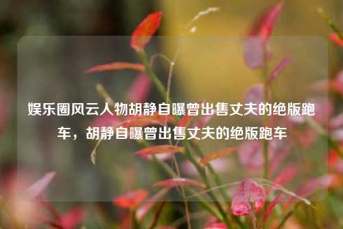 娱乐圈风云人物胡静自曝曾出售丈夫的绝版跑车，胡静自曝曾出售丈夫的绝版跑车