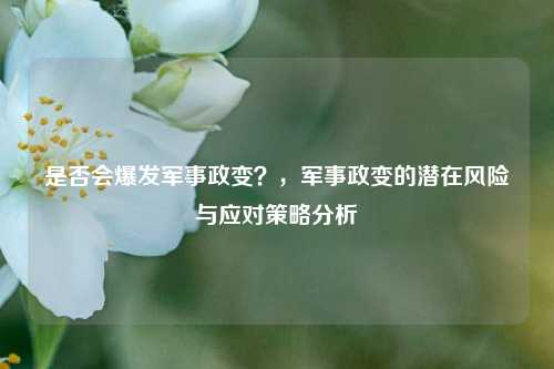是否会爆发军事政变？，军事政变的潜在风险与应对策略分析