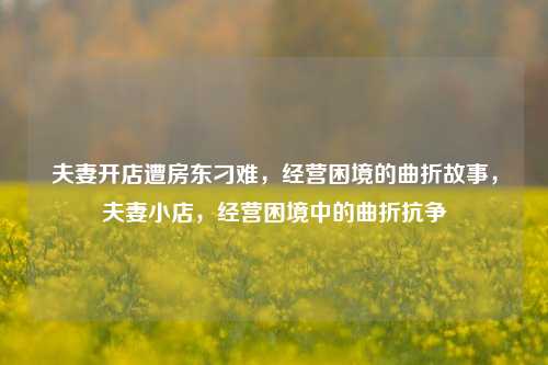 夫妻开店遭房东刁难，经营困境的曲折故事，夫妻小店，经营困境中的曲折抗争